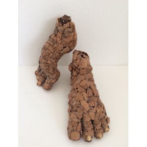 Feet